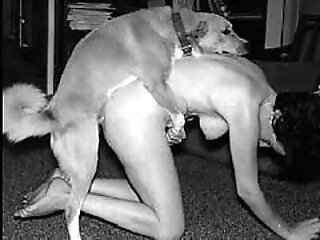 family dog sex is an...