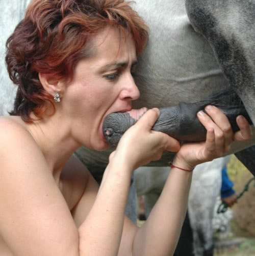 Man and her girlfriend fucks with stallion on a private zoo party. 